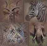 S&uuml;dafrika, Pilanesber Nationalpark, Kruger National Park, Krugerpark , Kr&uuml;gerpark, Urlaub, Reise