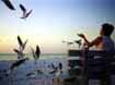 Fotos aus Florida, USA, Key West, Cape Coral, Panhandel, St. Peet, Miami, Art Deco