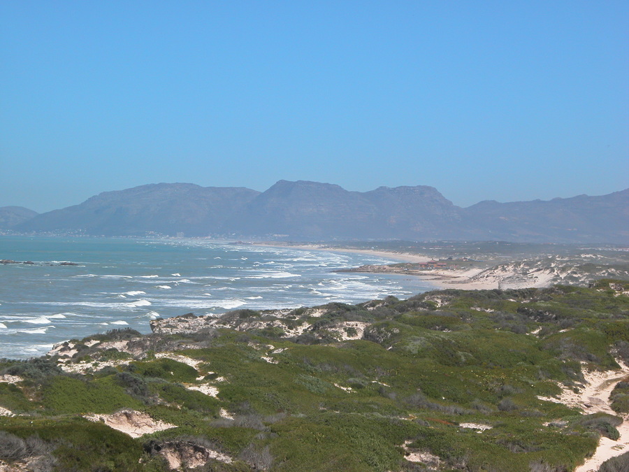 Tagesausflug um die Kap-Kalbinsel - Kapstadt