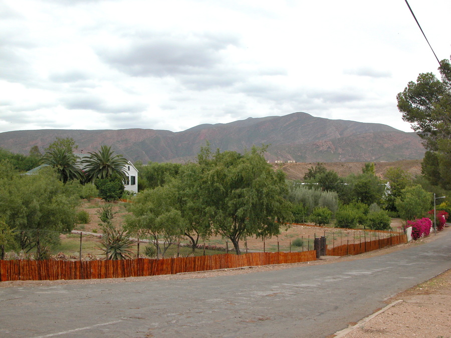 Calitzdorp - Route 62 - Südafrika - Reisebericht - Roadtrip