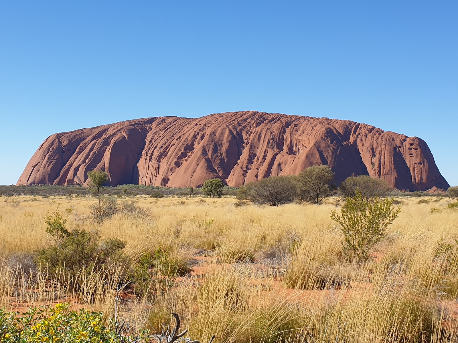 Ayers Rock- Uluru