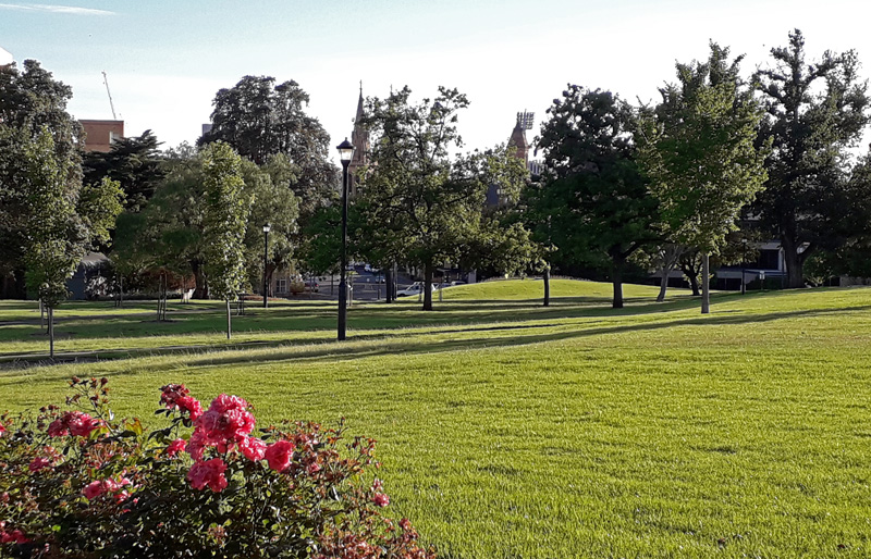 Parklands in der Nähe der St. Peters Cathedral
