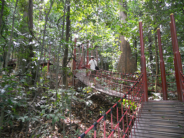 KL Eco-Forest Park. Unterwegs zum KL-Tower