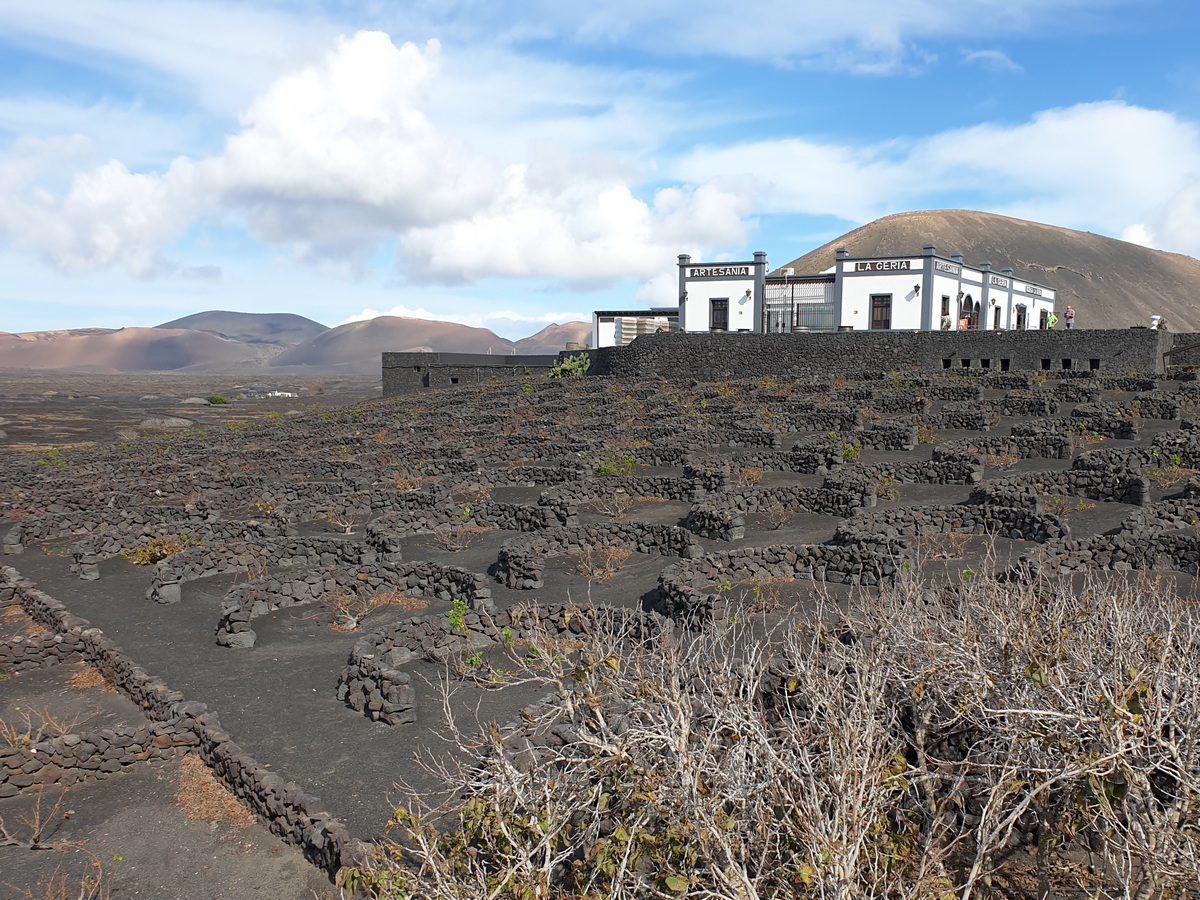 La Geria - Weinanbaugebiet auf Lanzarote