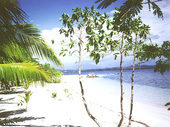 Philippinen - Reisebericht - Insel Bohol - Insel Palawan