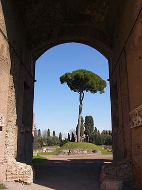  Palatin Palasthügel Rom Romulus und Remus Mythos und Geschichte Rom Colosseo Kolosseum im alten Rom Foruma Romanum