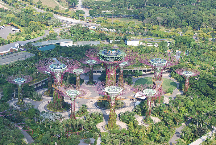 Gardens by the Bay. Von Marina Bay Sands  Skypark Aussichtsplattform