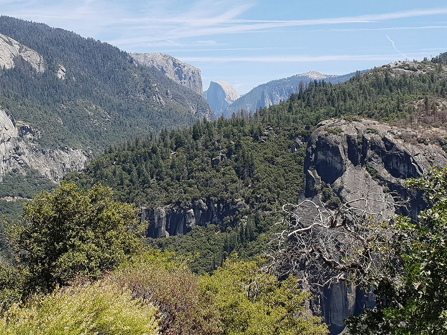 Yosemite Nationalpark - Half Dome ist das Wahrzeichen des Yosemite Nationalparks. Hier gibt es einen Blick auf den Half Dome