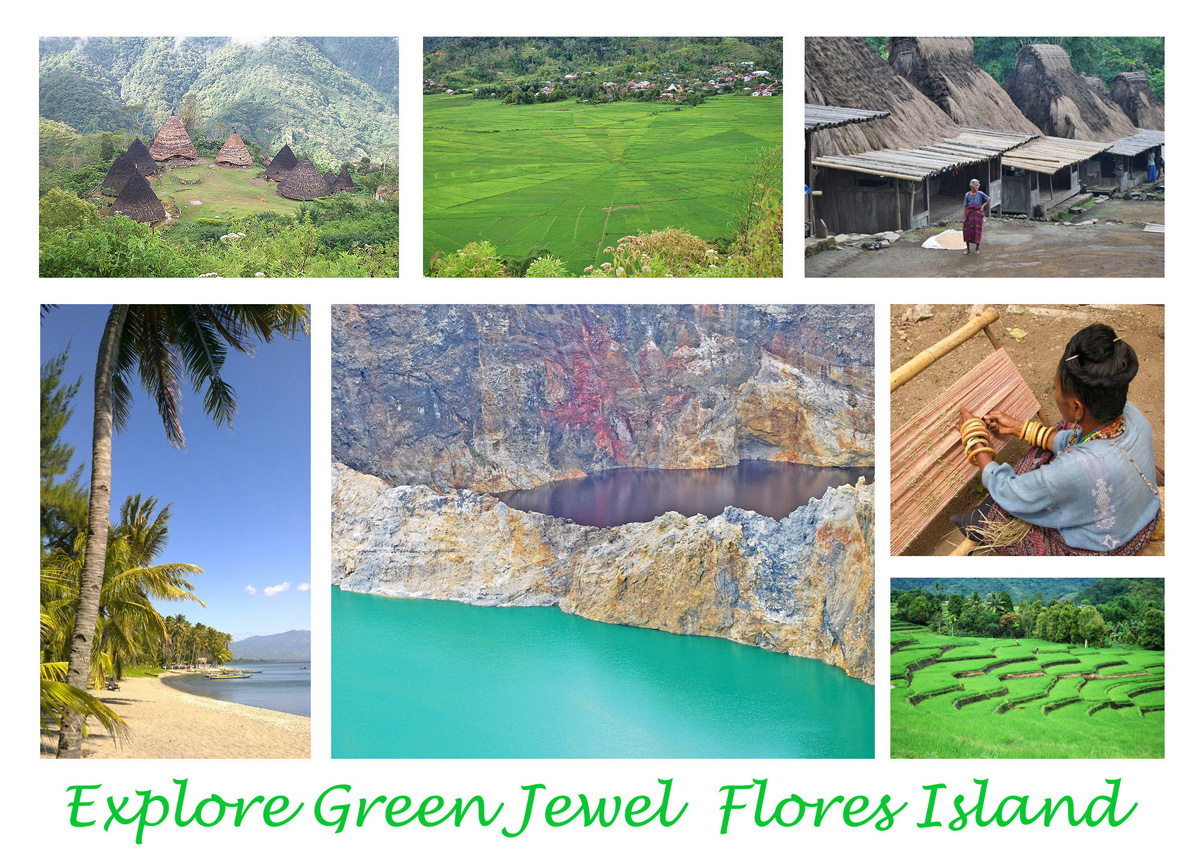 Flores Indonesia Tours and Travel from Maumere